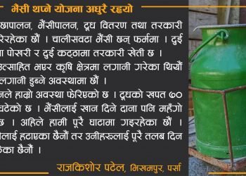 भैंसी थप्ने योजना अधुरै रह्यो लकडाउन कथा