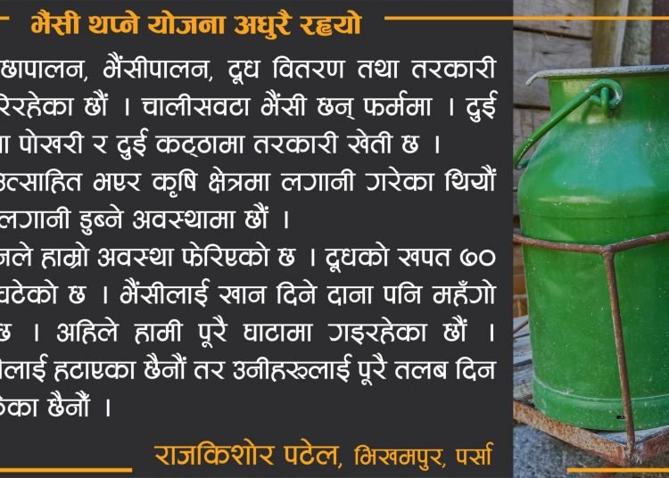 भैंसी थप्ने योजना अधुरै रह्यो लकडाउन कथा